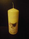 Kerze * gelb *  Unikat * H 150 mm * Katzen Cats